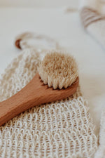 Dry Face Brush- zefiro