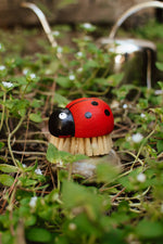 Zefiro Ladybug Brush