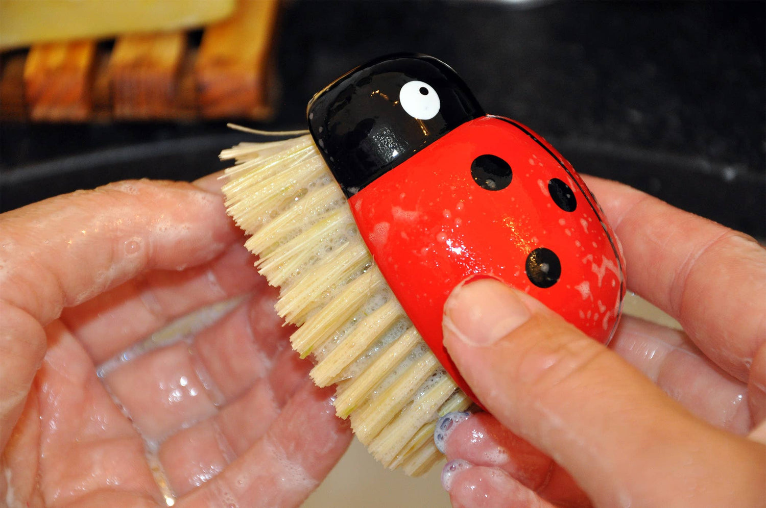 Ladybug Brush - Zefiro