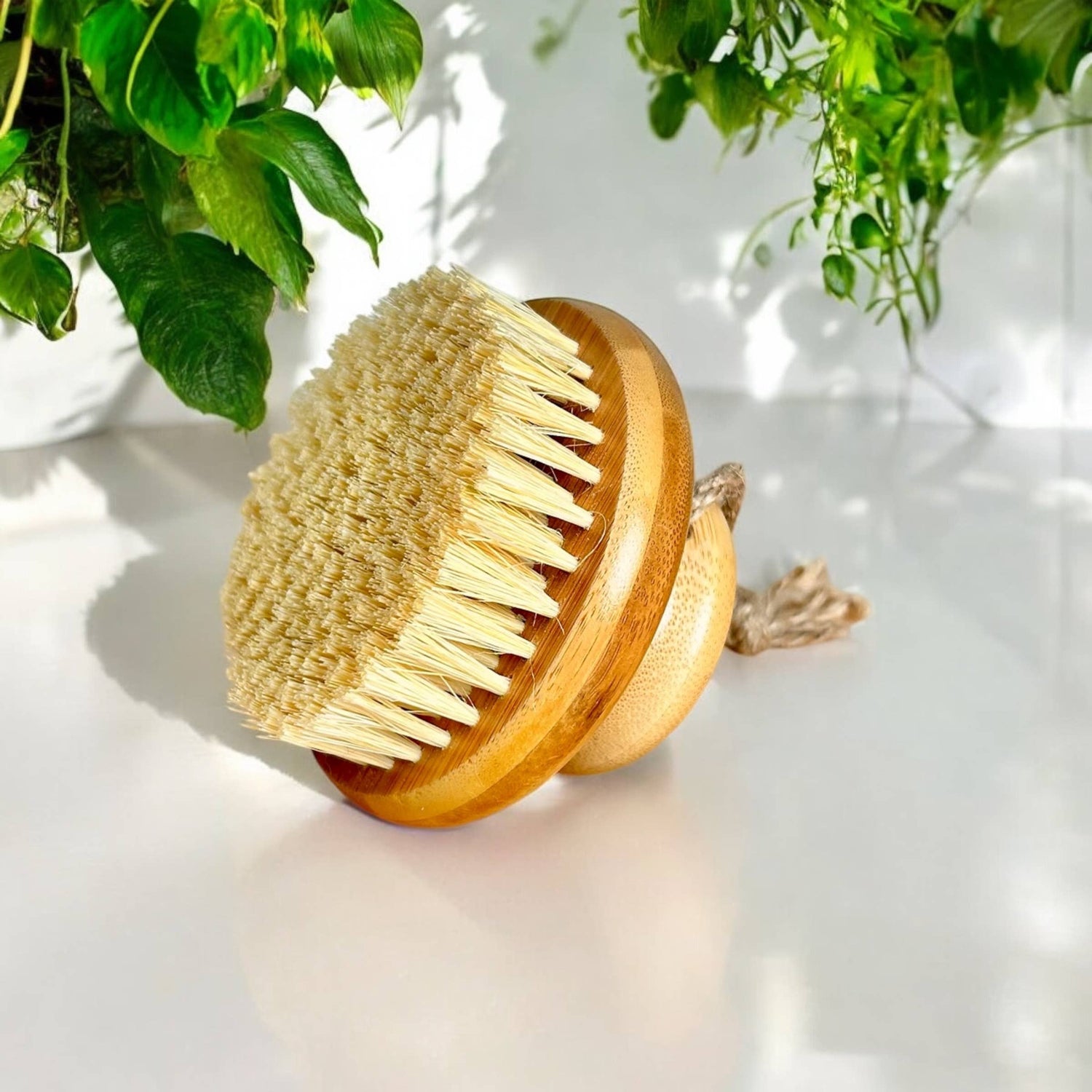 Bamboo Switch Bamboo Body Dry Brush