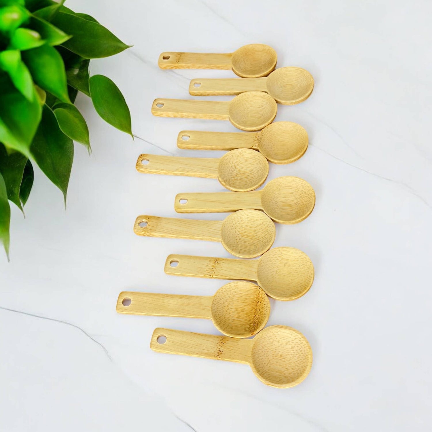 Bamboo Switch Bamboo Spoon -Circle Scoop