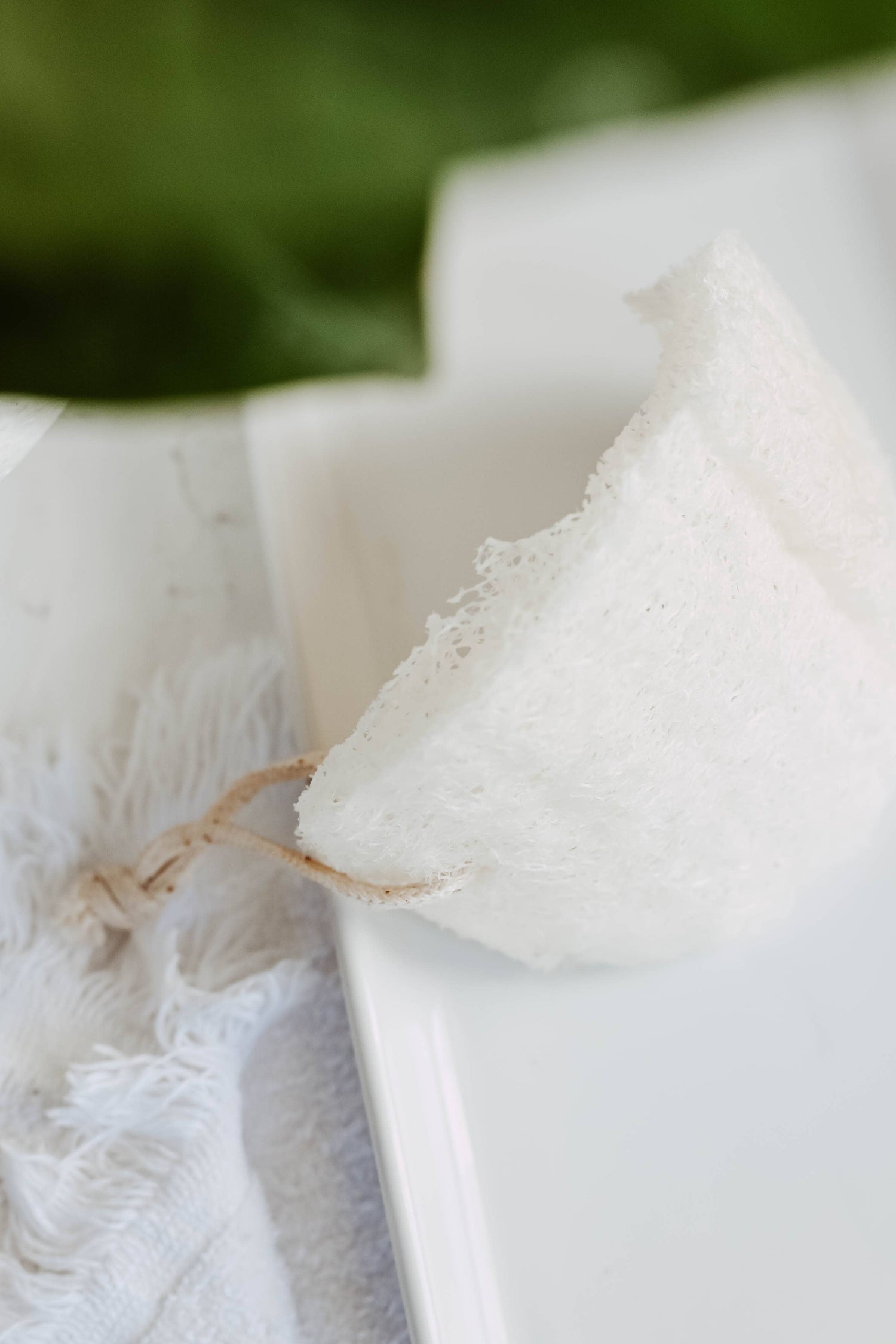 Loofah - single layer 2 pack