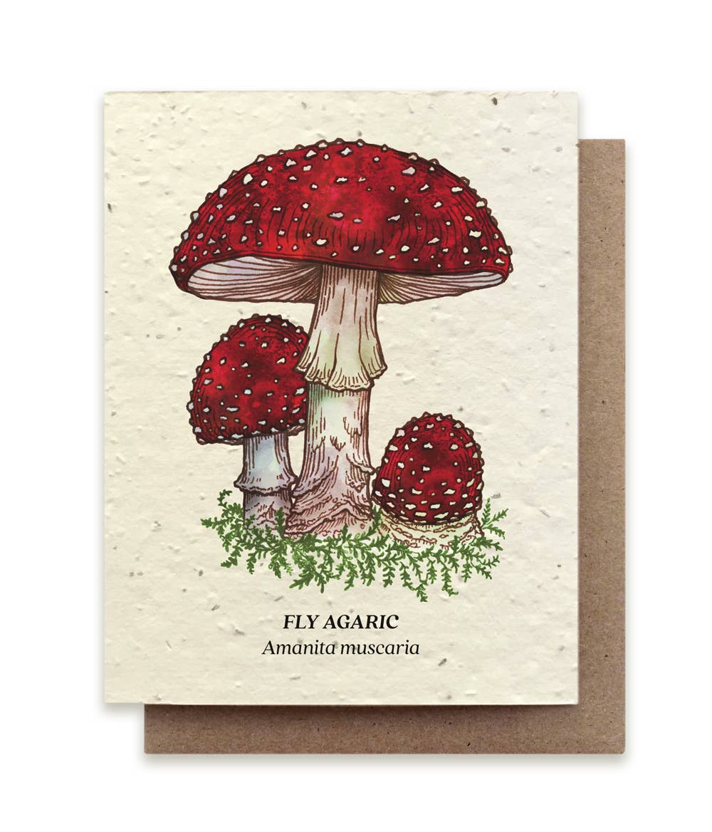 Small Victories card Fly Agaric Mushroom Plantable Wildflower Seed Card