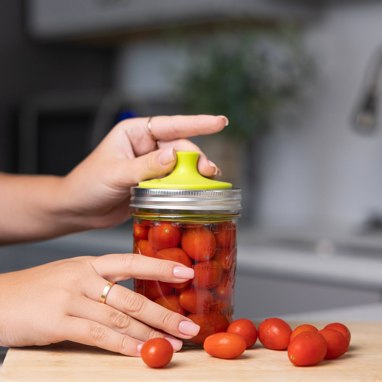 Jarware Nylon Fermentation Lid For Wide Mouth Mason Jars