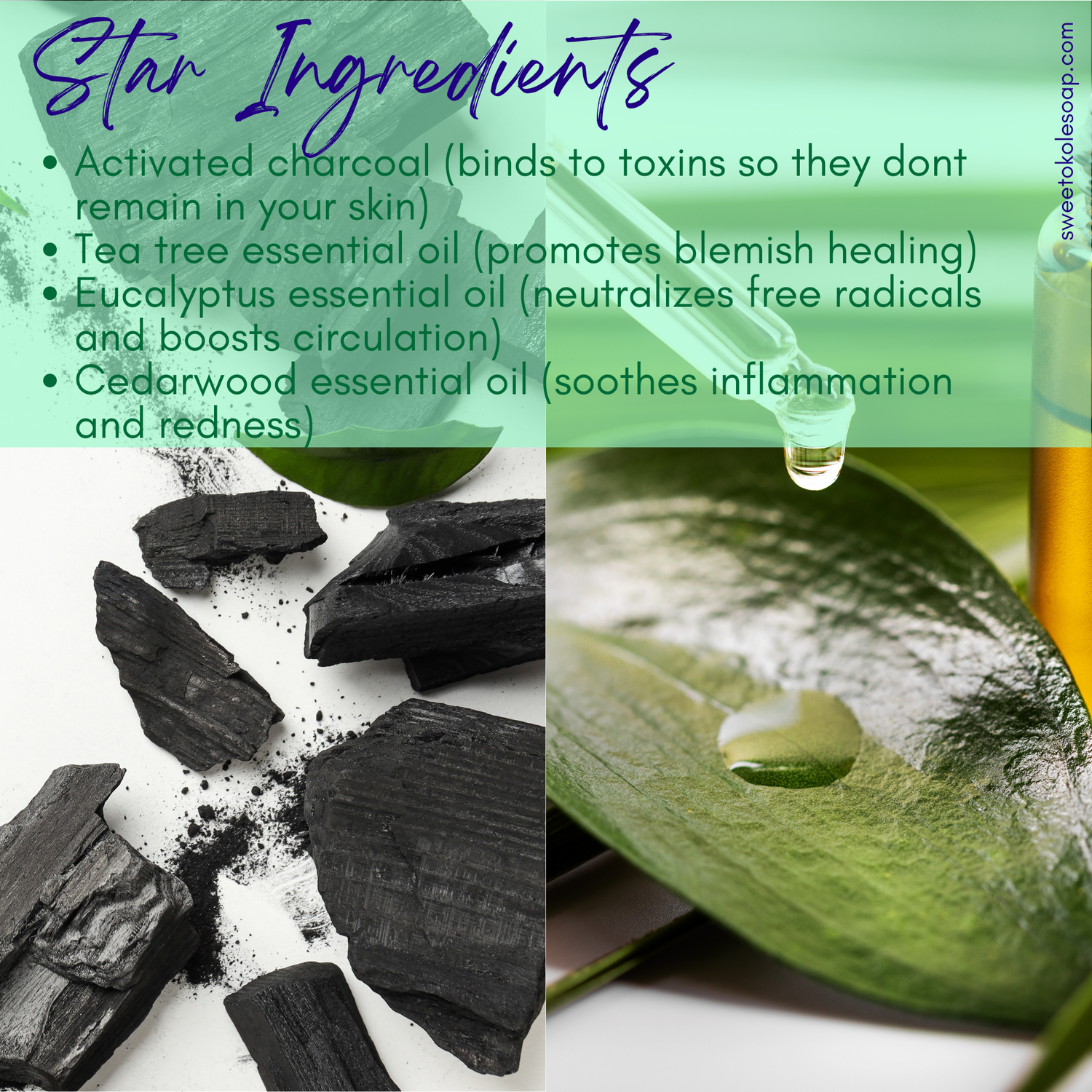 Charcoal, Tea Tree & Eucalyptus Soap for Oily Skin