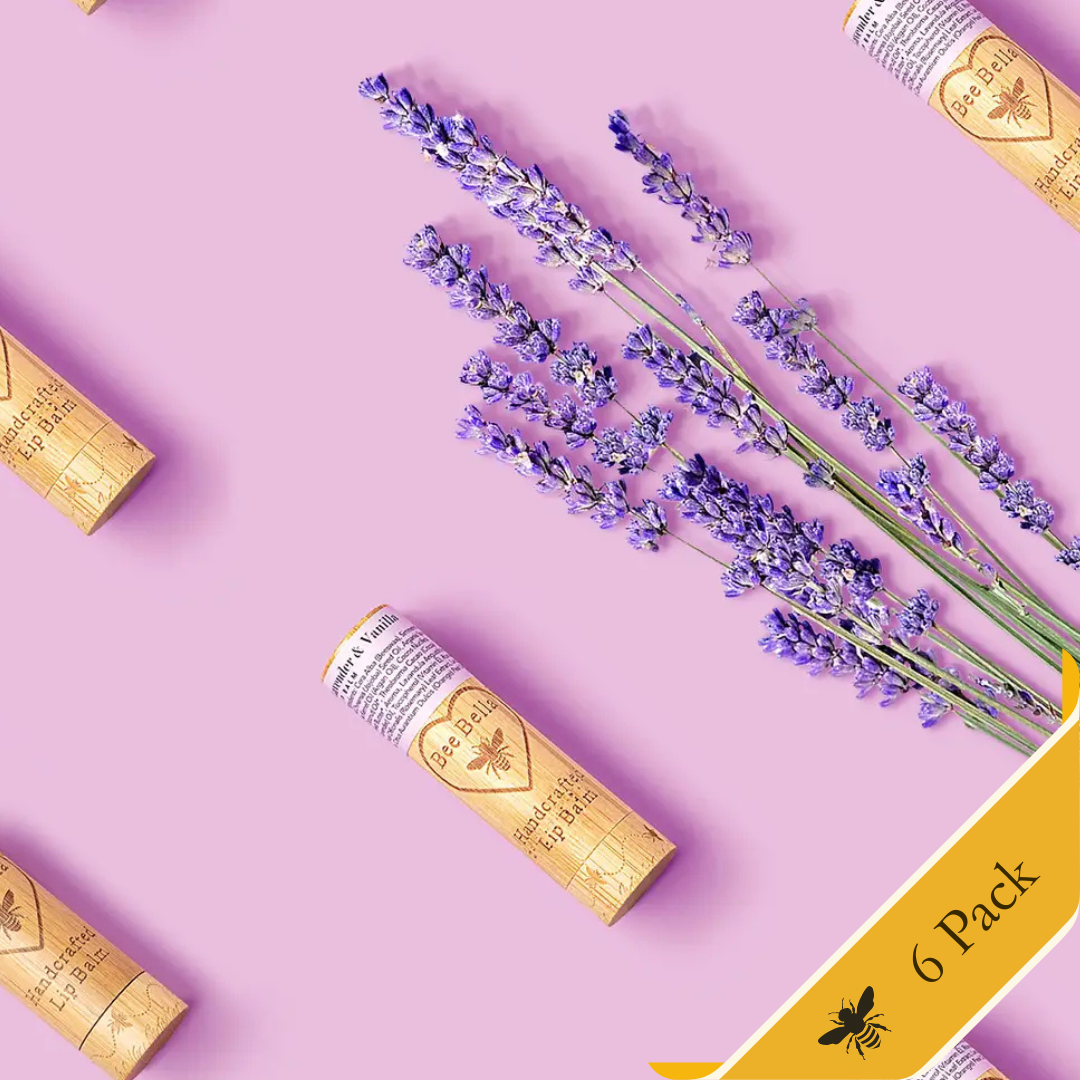 Lavender Vanilla Lip Balm | 6-Pack
