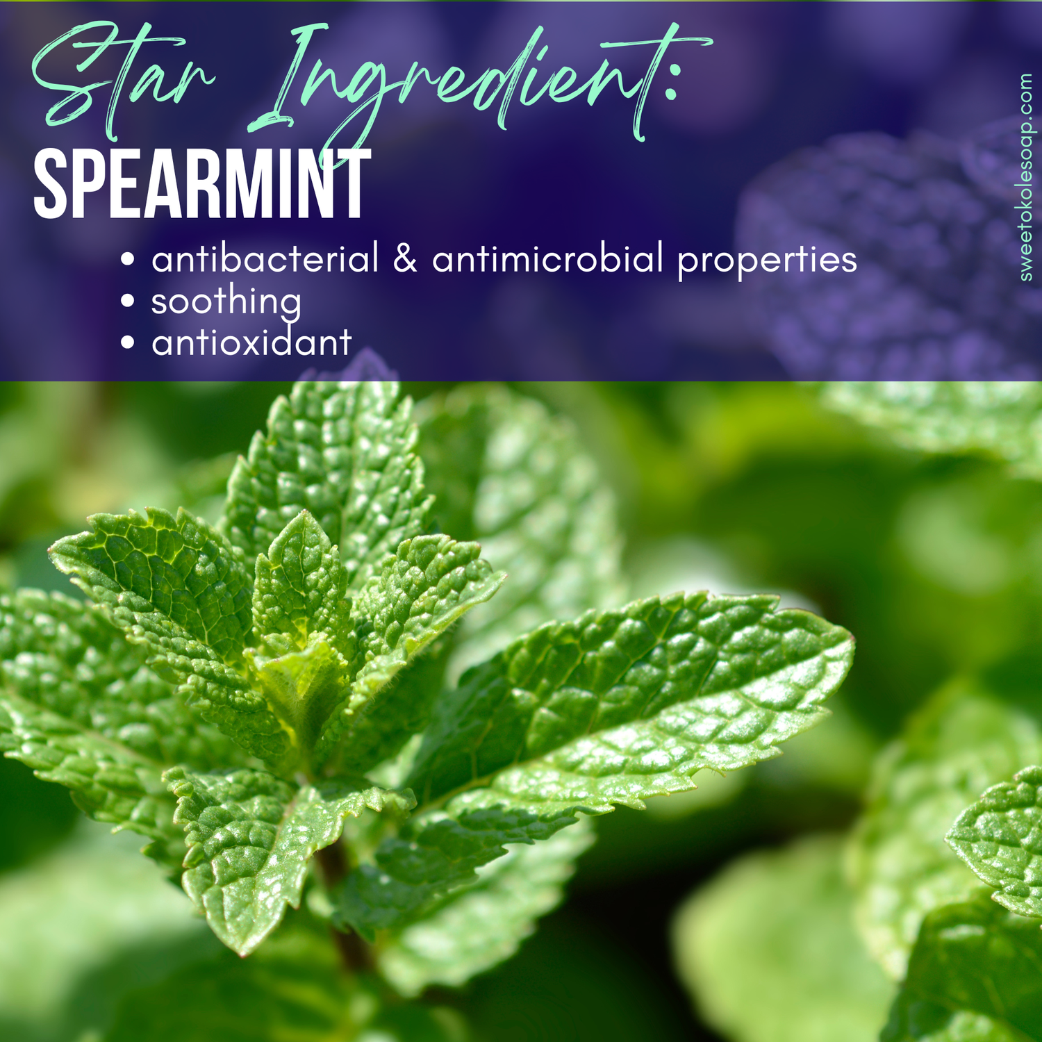 Spearmint Herb Mineral Tooth Powder, Hydroxyapatite & Noni