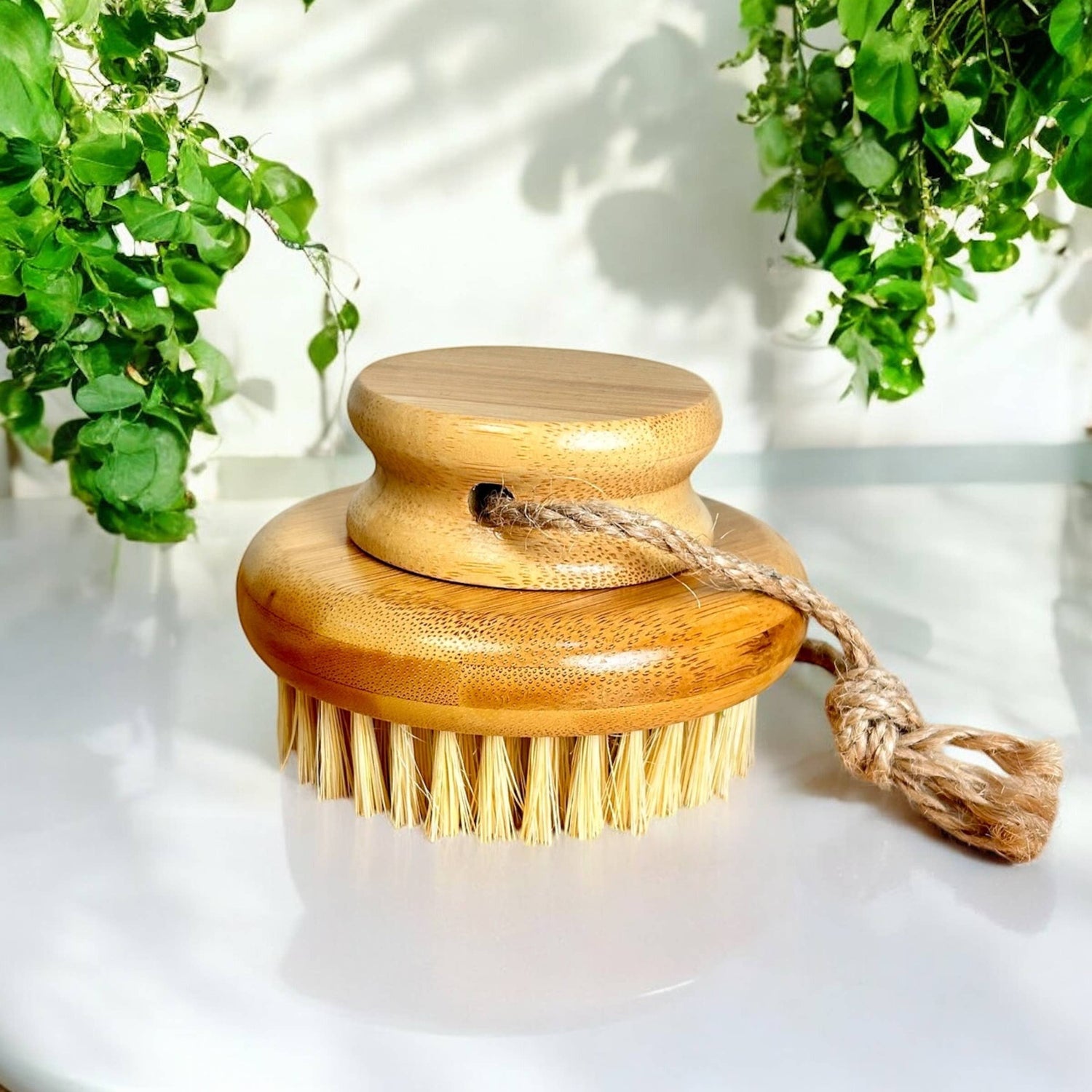 Bamboo Switch Bamboo Body Dry Brush