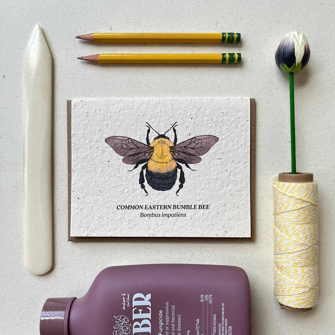 Small Victories card Bumble Bee Plantable Wildflower Seed Card