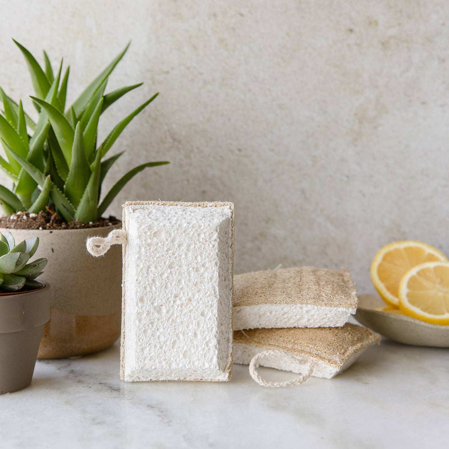 Loofah + Cellulose Kitchen & Cleaning Sponge | Eco Friendly