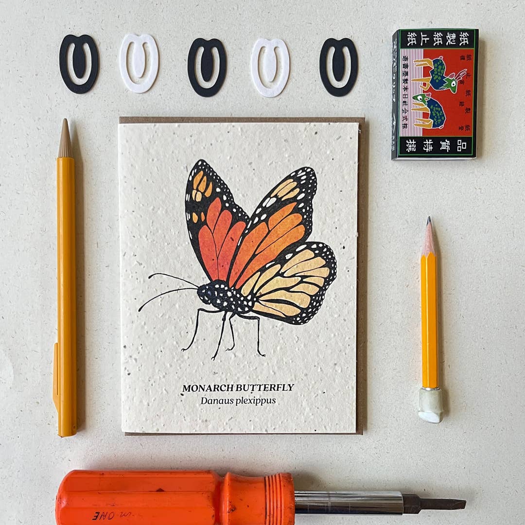 Small Victories card Monarch Butterfly Plantable Wildflower Seed Card