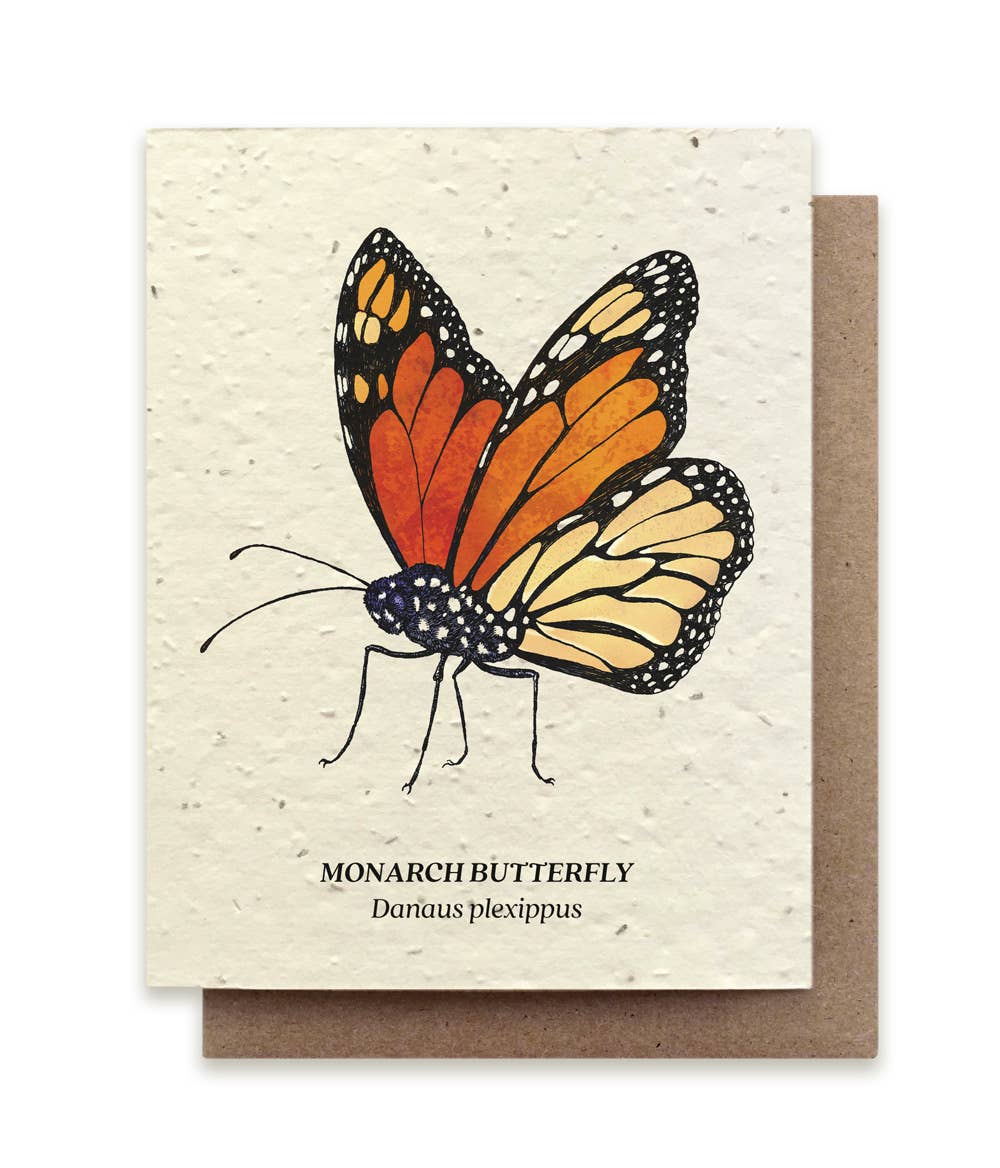 Small Victories card Monarch Butterfly Plantable Wildflower Seed Card