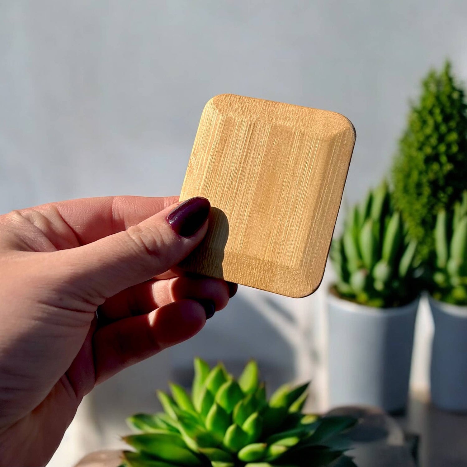 Bamboo Switch Bamboo Pot Scraper