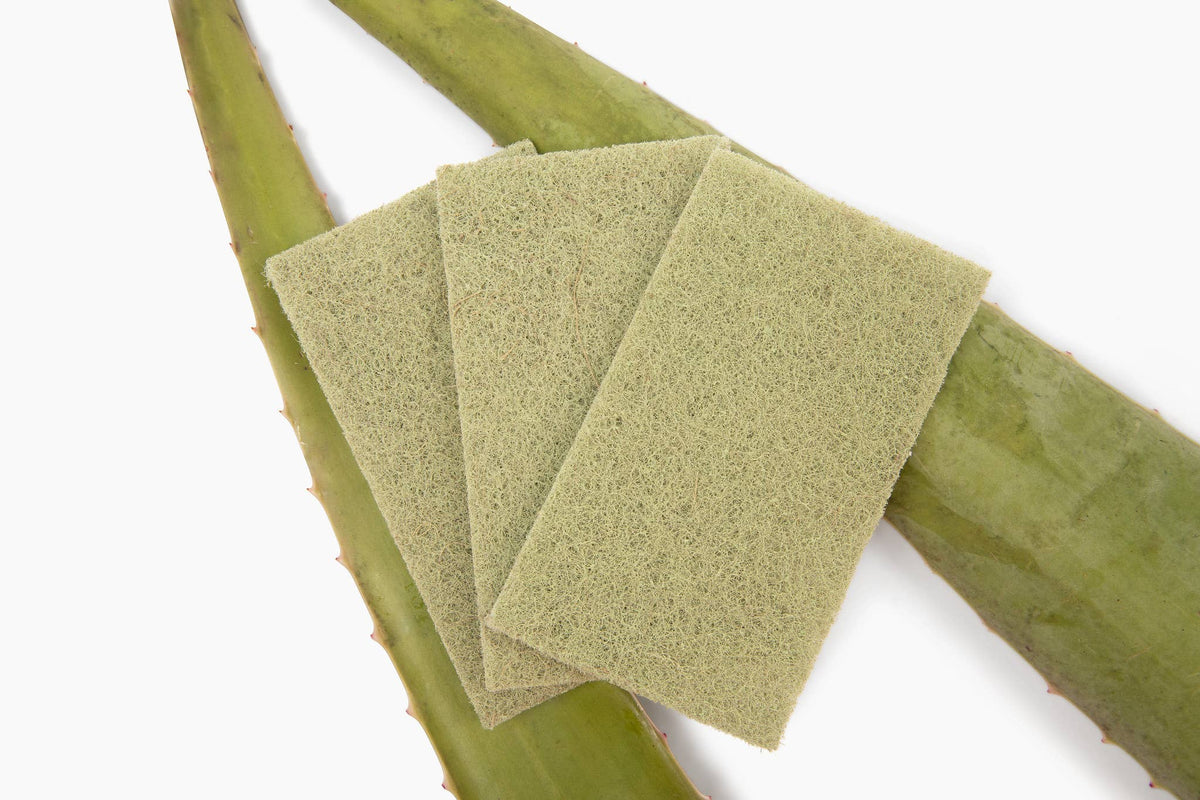 Agave Leaf Scour Pad - 3pk