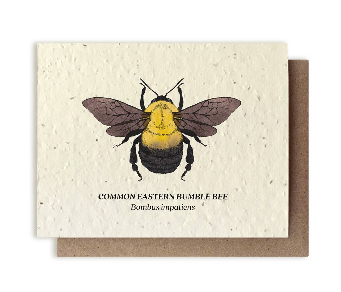 Small Victories card Bumble Bee Plantable Wildflower Seed Card