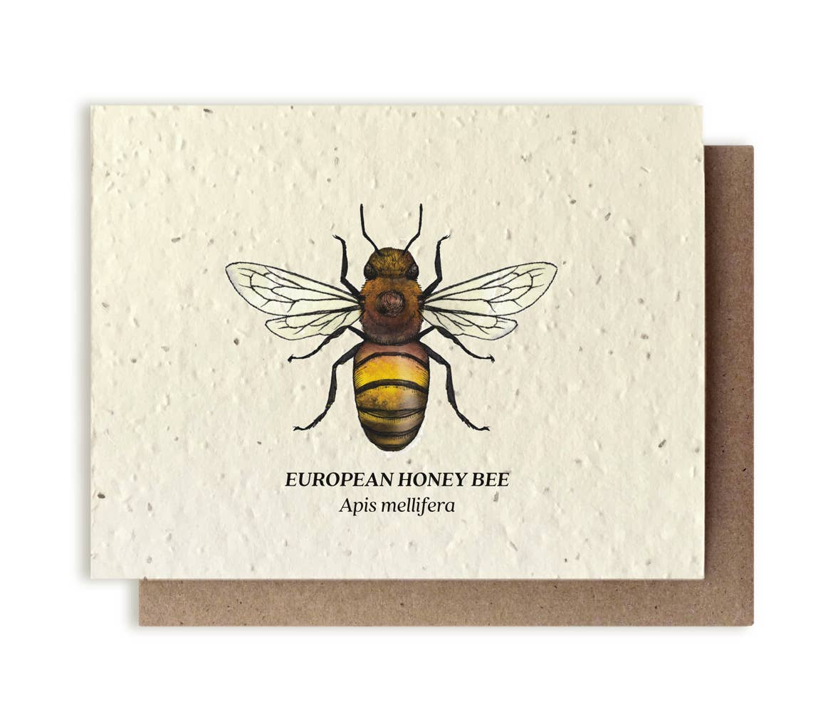 Small Victories card Honey Bee Plantable Wildflower Seed Card