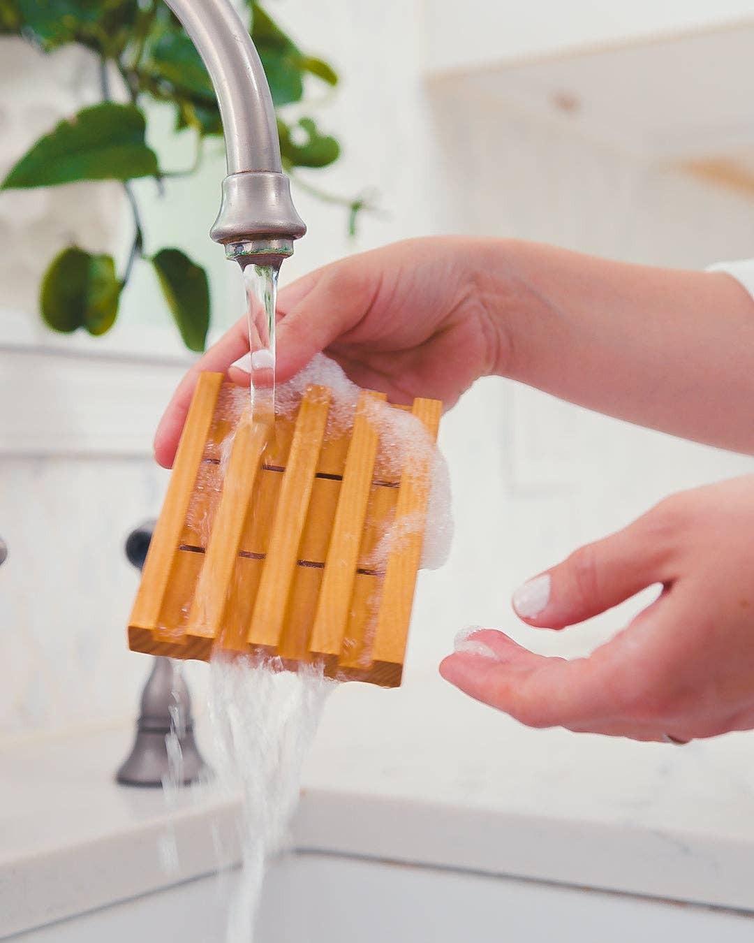 Cedarwood Soap Dish-Willow & Greene