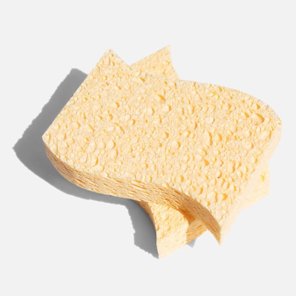 Biodegradable Kitchen Sponges - 2 Pack - Plastic Free